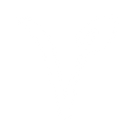 VEGAN